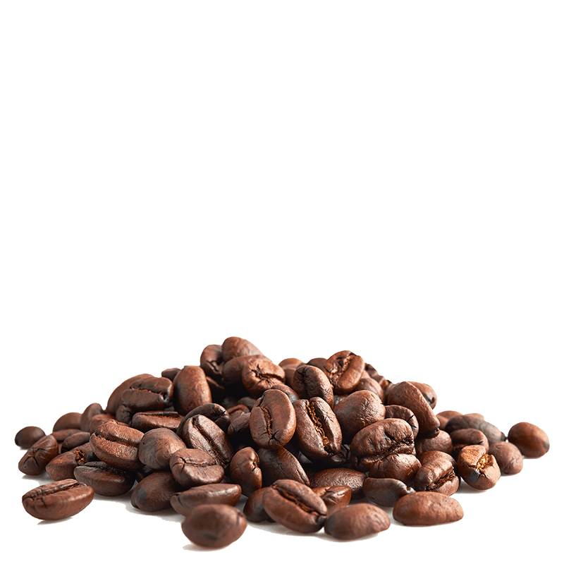 Les Cafés Dagobert -- Mélange sélection 100% arabica bio et équitable - grains - 1 kg