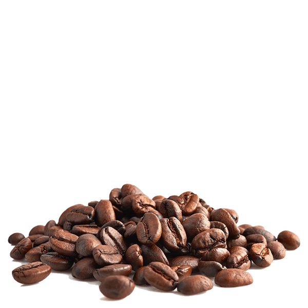 Mélange Globe-Trotteur - 100% arabica, bio et équitable - Grains - 5 kg